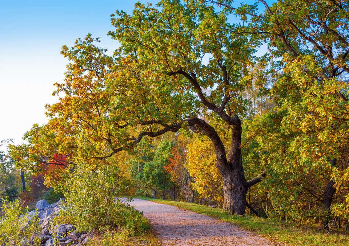 ���� ������� ���� ����� Vitaly Konakov �� PhotoGeek.ru #������ ��� ������� #����� ��������
