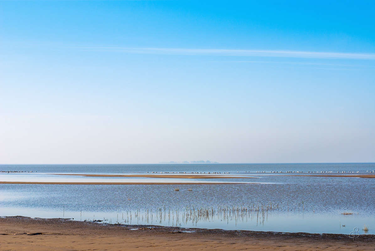 ����� � ������� ����� Vitaly Konakov �� PhotoGeek.ru #������ ��� ������� #����� ��������