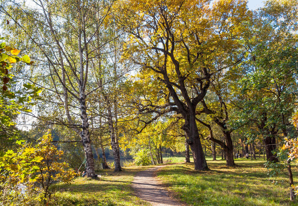 ������� ���� � ����� ����� Vitaly Konakov �� PhotoGeek.ru #������ ��� ������� #����� ��������