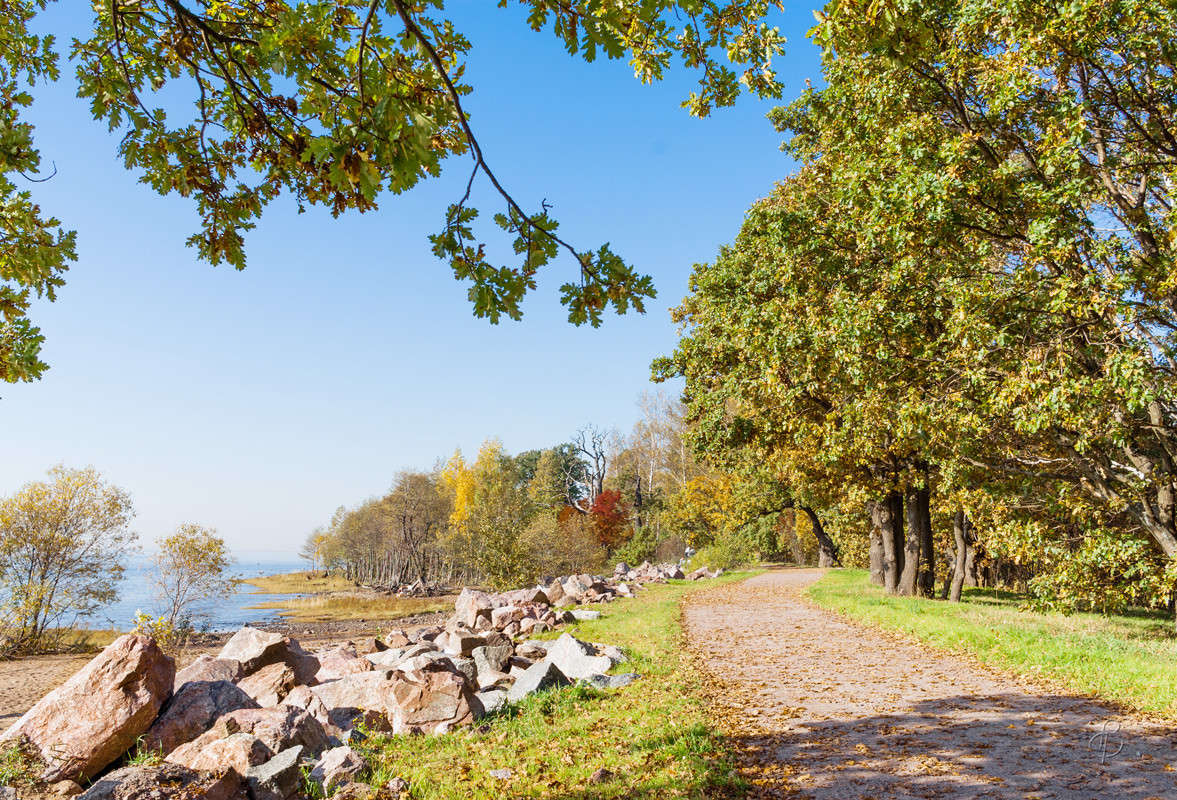 ���������� ����� 2 ����� Vitaly Konakov �� PhotoGeek.ru #������ ��� ������� #����� ��������