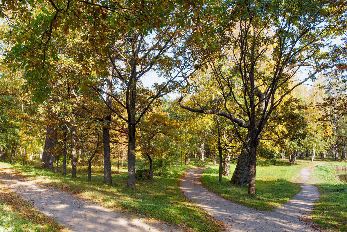 ��� ������� ����� Vitaly Konakov �� PhotoGeek.ru #������ ��� ������� #����� ��������