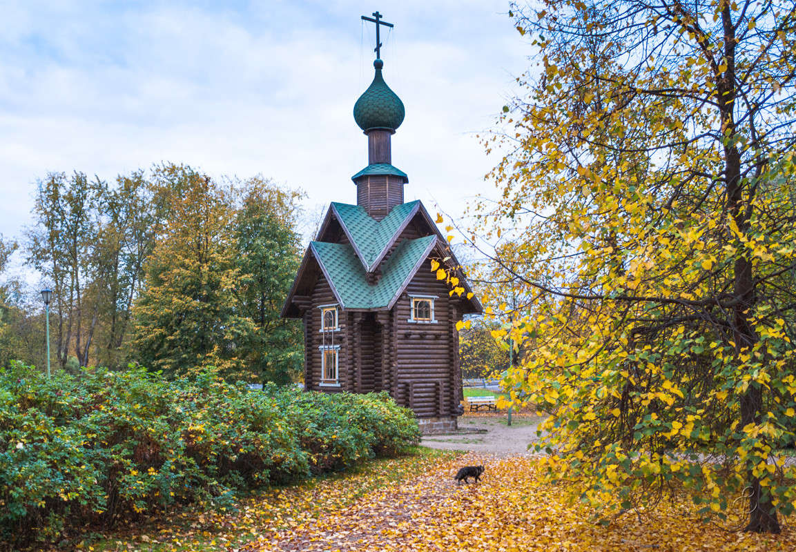 ������� ������ ����� Vitaly Konakov �� PhotoGeek.ru #����� #��������� ������ #������� ������