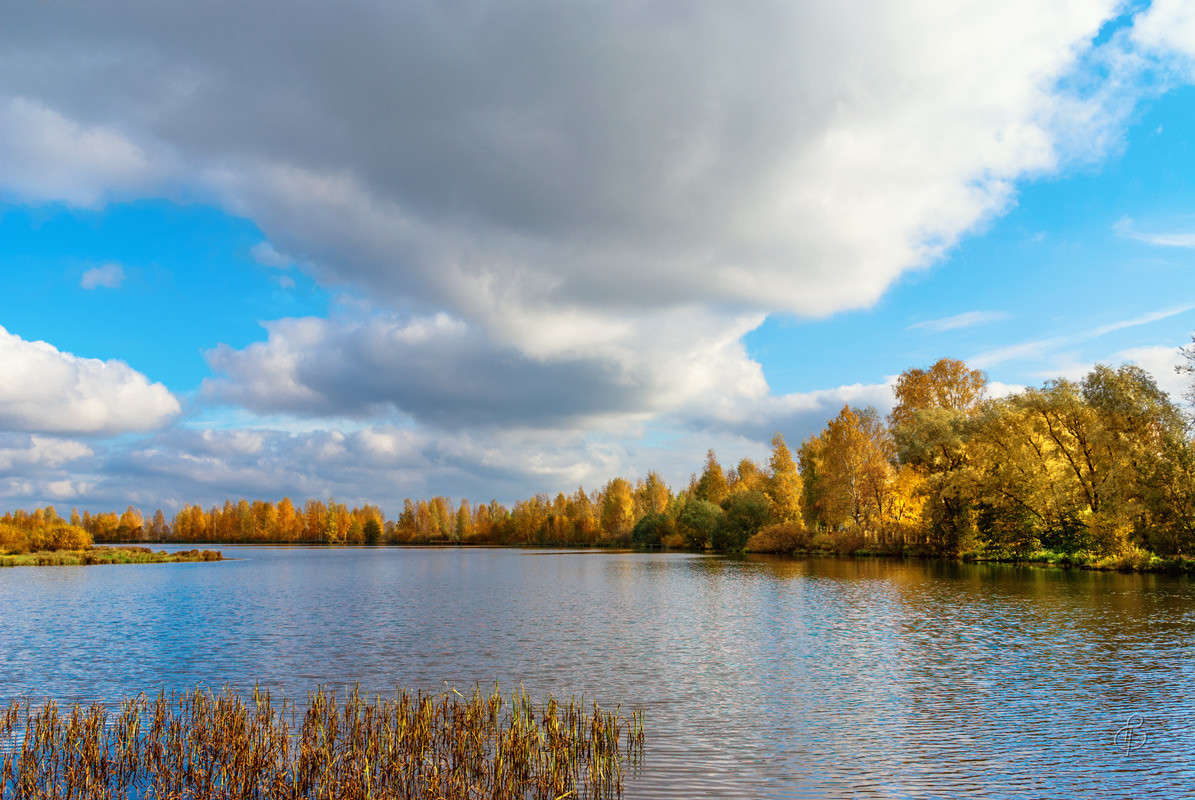 ����� �� ������� ����� Vitaly Konakov �� PhotoGeek.ru #������ ��� ������� #����� ��������