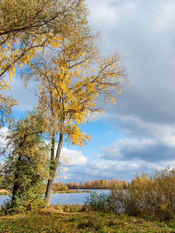 ����� �� ������� 3 ����� Vitaly Konakov �� PhotoGeek.ru #������ ��� ������� #����� ��������