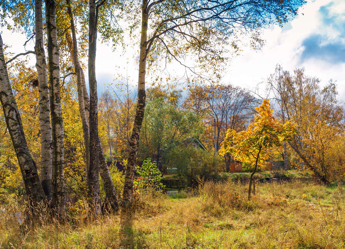 ������ ������ ������ 2 ����� Vitaly Konakov �� PhotoGeek.ru #������ ��� ������� #����� ��������