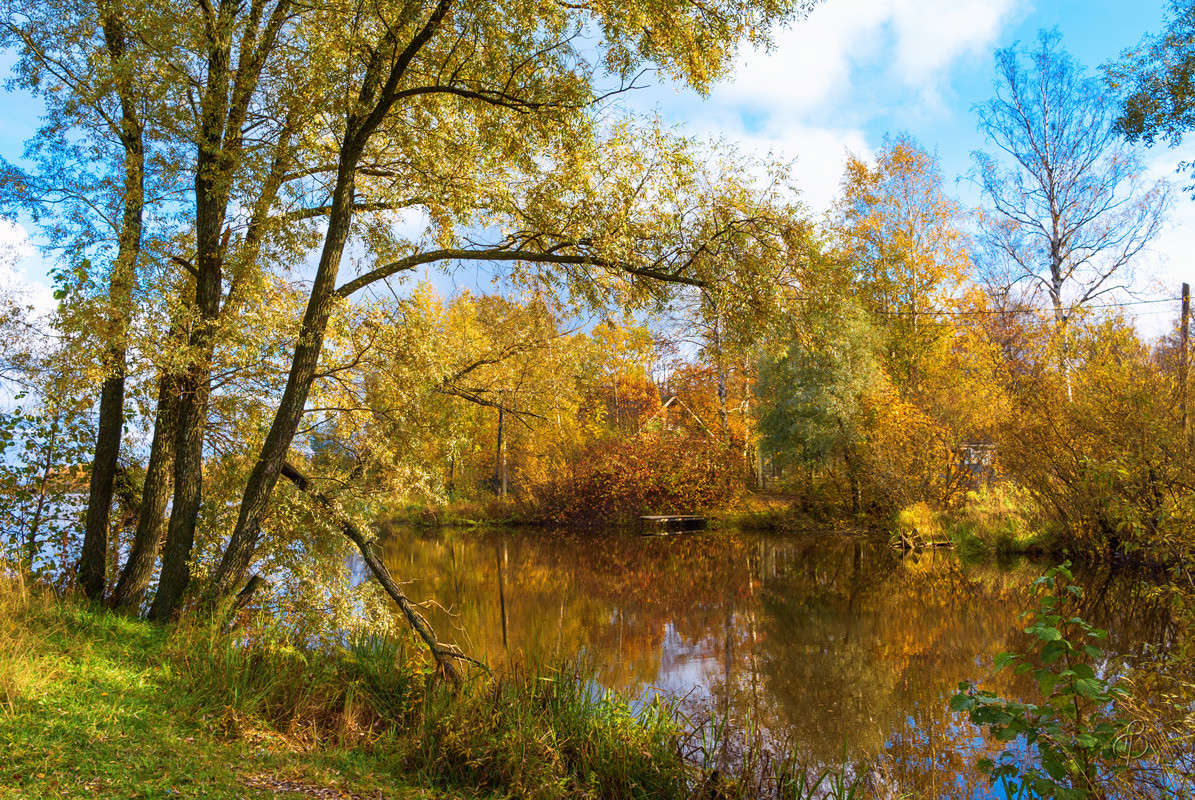 ������ ������ ������ 3 ����� Vitaly Konakov �� PhotoGeek.ru #����� #��������� ������