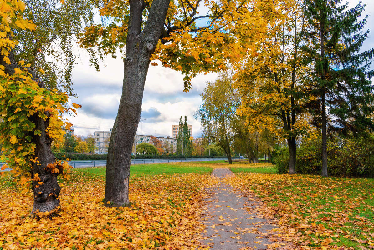 ���������� ����� ����� Vitaly Konakov �� PhotoGeek.ru #������ ��� ������� #����� ��������