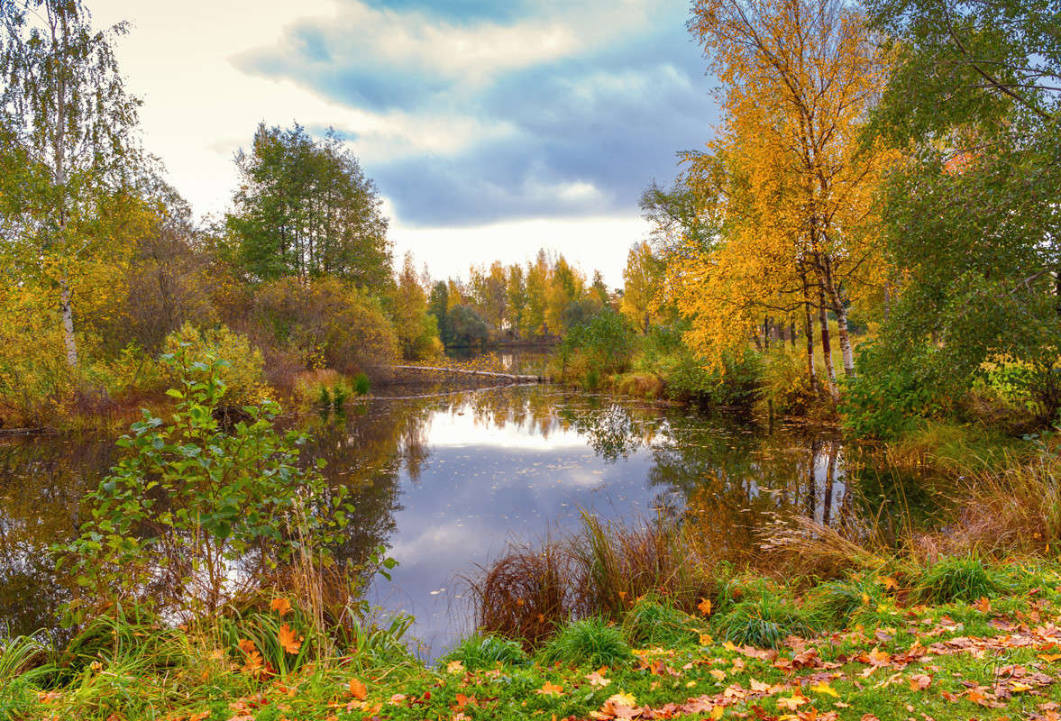 ������� ��������� ����� Vitaly Konakov �� PhotoGeek.ru #������ ��� ������� #����� ��������