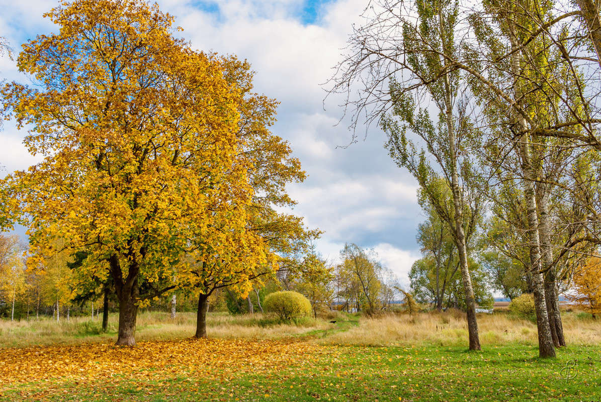 ������ ������ ����� Vitaly Konakov �� PhotoGeek.ru #������ ��� ������� #����� ��������