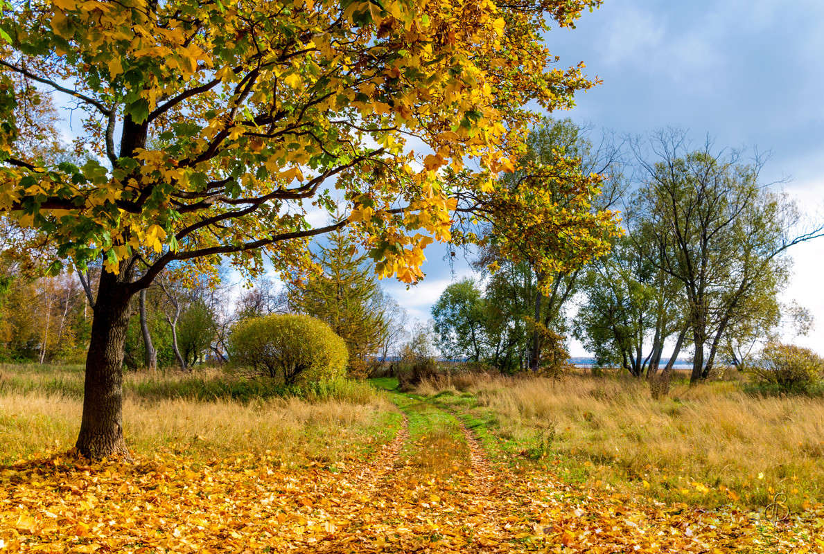 ������ ������ 3 ����� Vitaly Konakov �� PhotoGeek.ru #������ ��� ������� #����� ��������