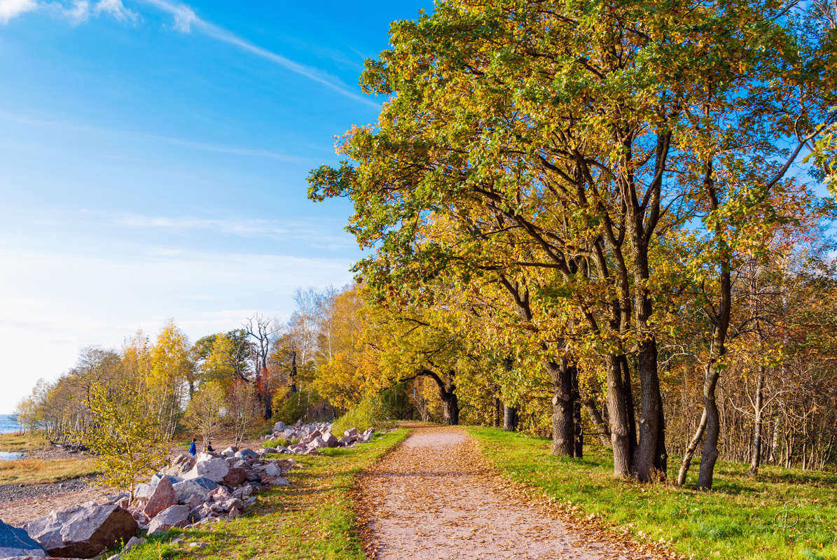 ������� ����� ������ ����� Vitaly Konakov �� PhotoGeek.ru #������ ��� ������� #����� ��������