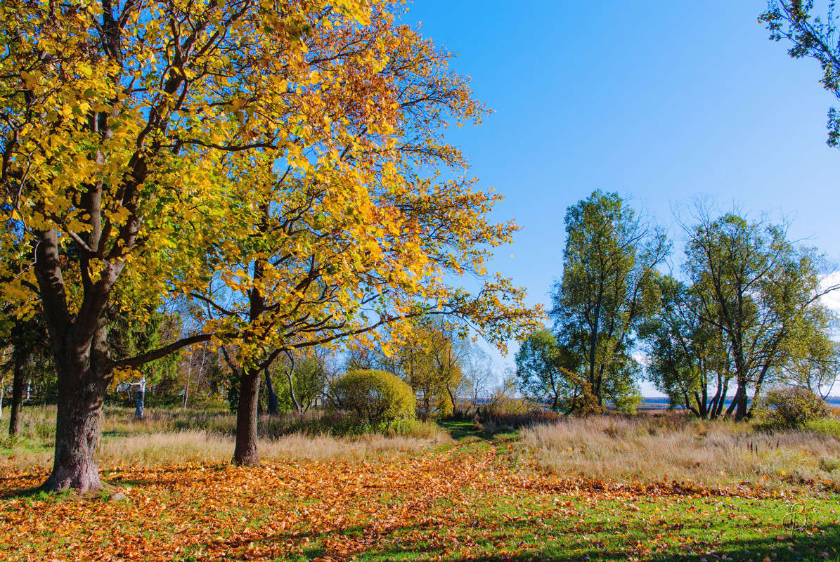 ���� � ������� ����� Vitaly Konakov �� PhotoGeek.ru #������ ��� ������� #����� ��������