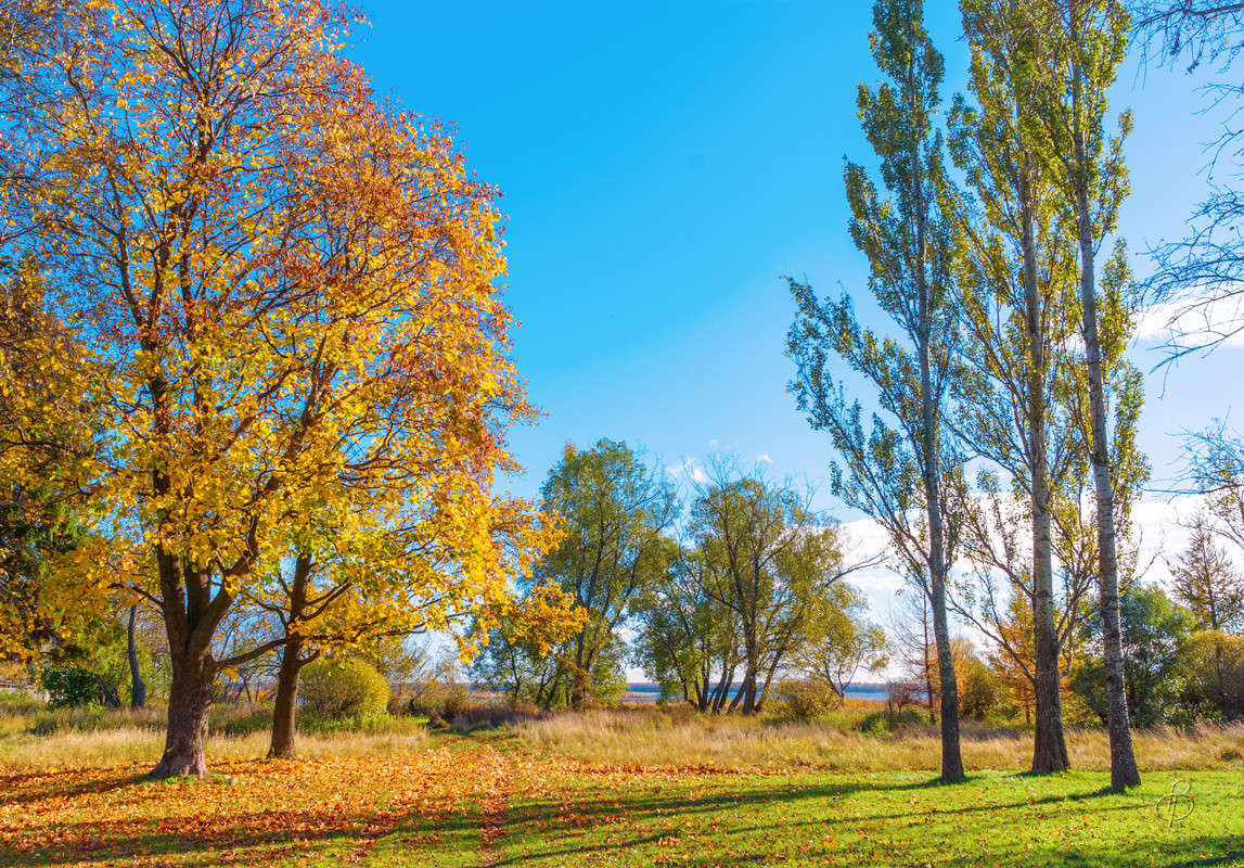 �� ������ ����� ������ 3 ����� Vitaly Konakov �� PhotoGeek.ru #������ ��� ������� #����� ��������