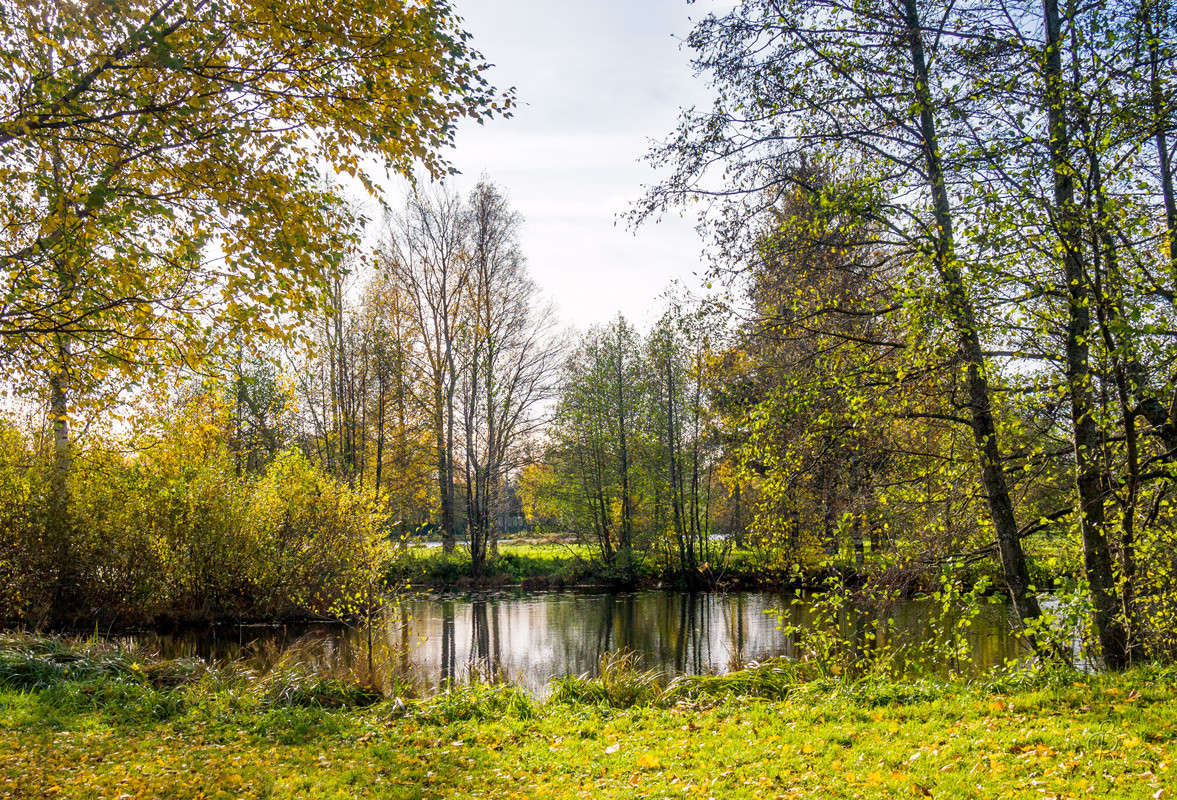 �� ������ ����� ������ 5 ����� Vitaly Konakov �� PhotoGeek.ru #������ ��� ������� #����� ��������