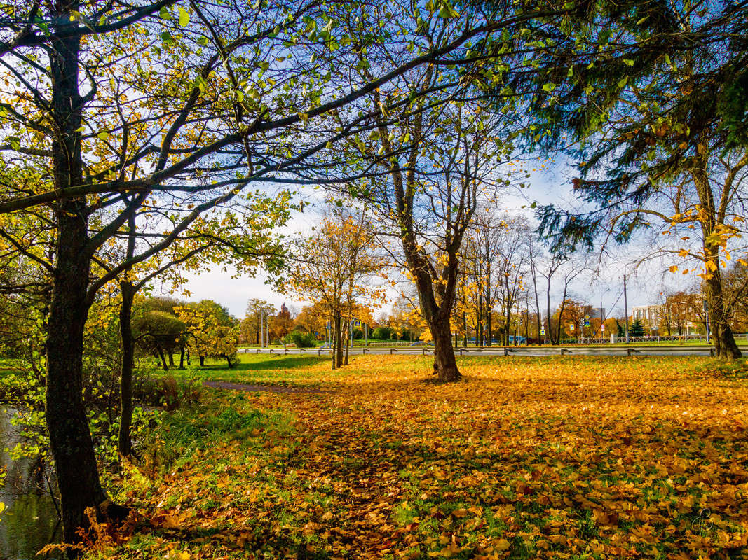 �� ���������� ����� ����� Vitaly Konakov �� PhotoGeek.ru #������ ��� ������� #����� ��������