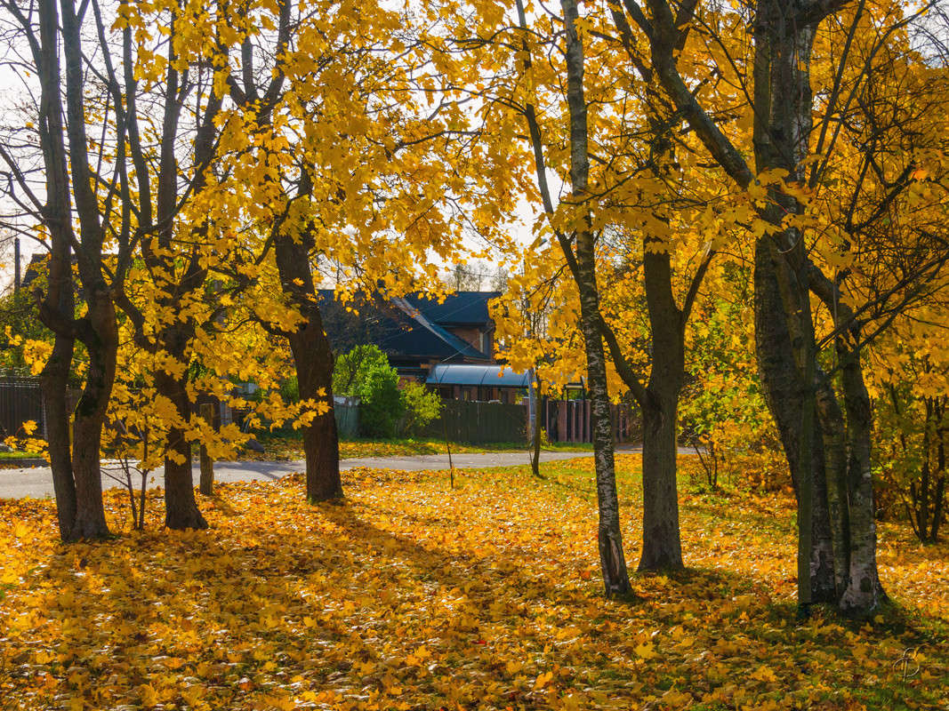 �� �������� ������� ����� Vitaly Konakov �� PhotoGeek.ru #������ ��� ������� #����� ��������