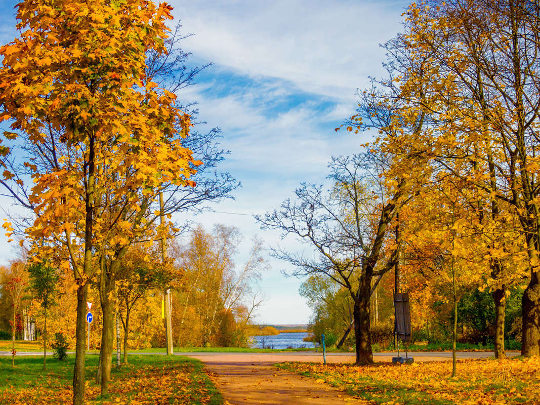 �� ������ ������� 5 ����� Vitaly Konakov �� PhotoGeek.ru #������ ��� ������� #����� ��������