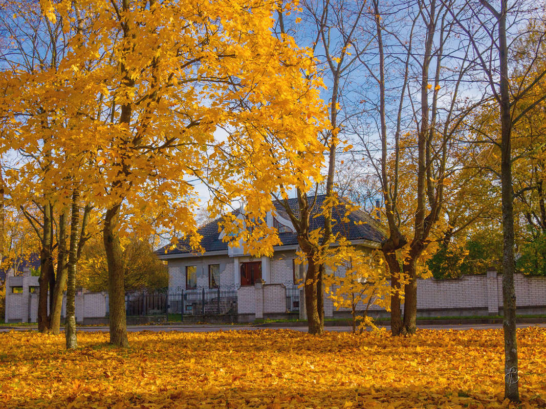 ����� � �������� ��� ����� Vitaly Konakov �� PhotoGeek.ru #������ ��� ������� #����� ��������