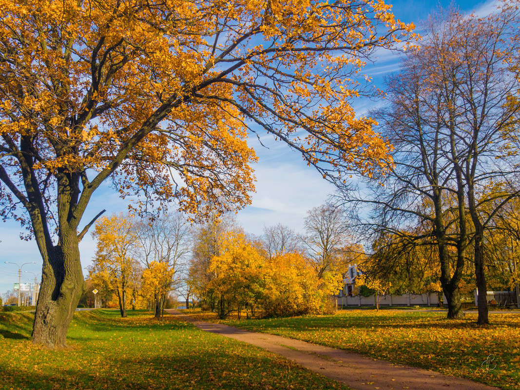 ����� � ��������� ����� Vitaly Konakov �� PhotoGeek.ru #������ ��� ������� #����� ��������