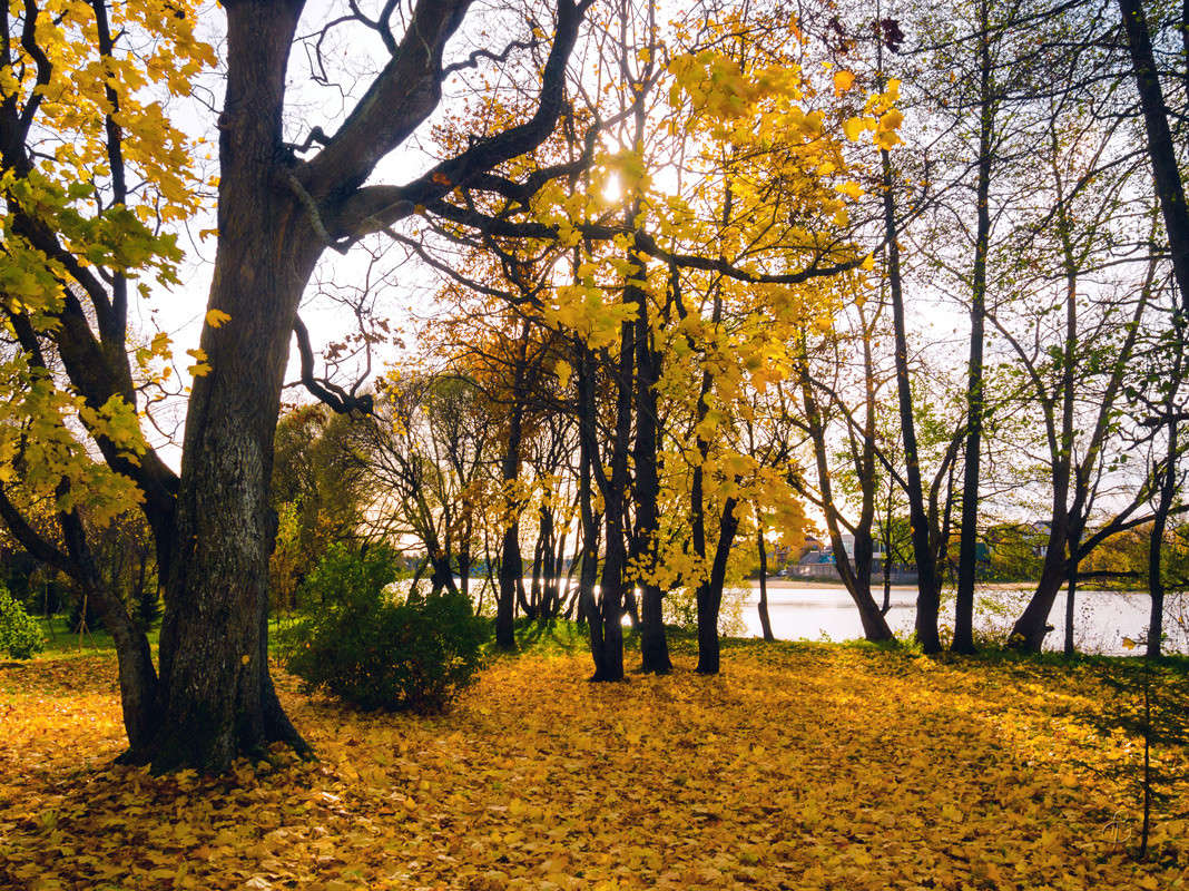 ����� � ��������� 2 ����� Vitaly Konakov �� PhotoGeek.ru #������ ��� ������� #����� ��������