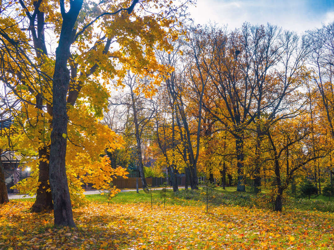 ����� � ��������� 3 ����� Vitaly Konakov �� PhotoGeek.ru #������ ��� ������� #����� ��������