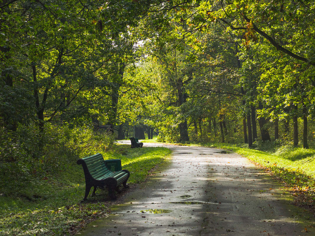 ���� � �������� ����� Vitaly Konakov �� PhotoGeek.ru #������ ��� ������� #����� ��������