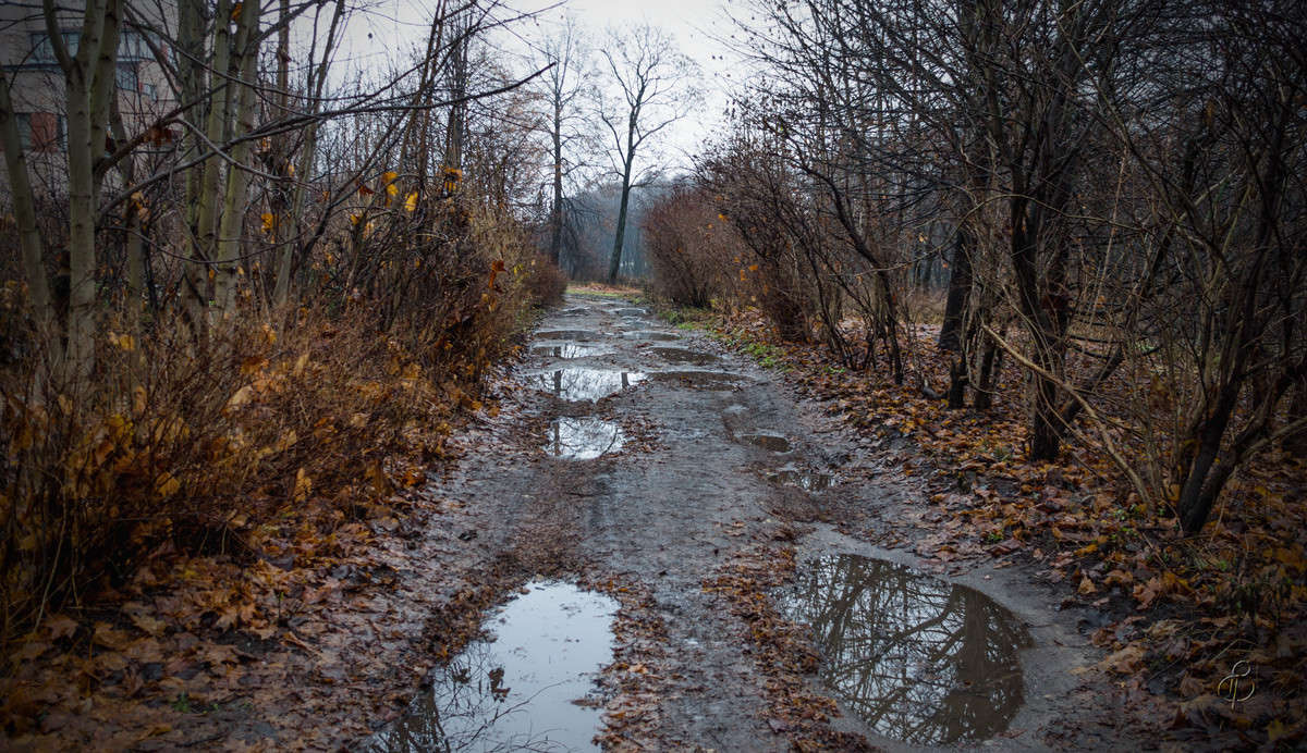 ������ ����� ����� Vitaly Konakov �� PhotoGeek.ru #������ ��� ������� #����� ��������