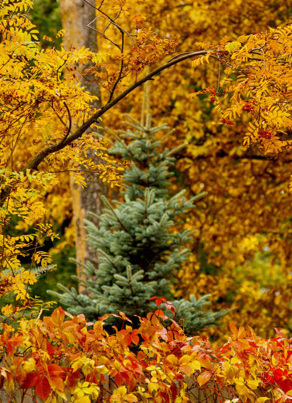 �� � ���� �������� ������ ����� Vitaly Konakov �� PhotoGeek.ru #������ ��� ������� #����� ��������