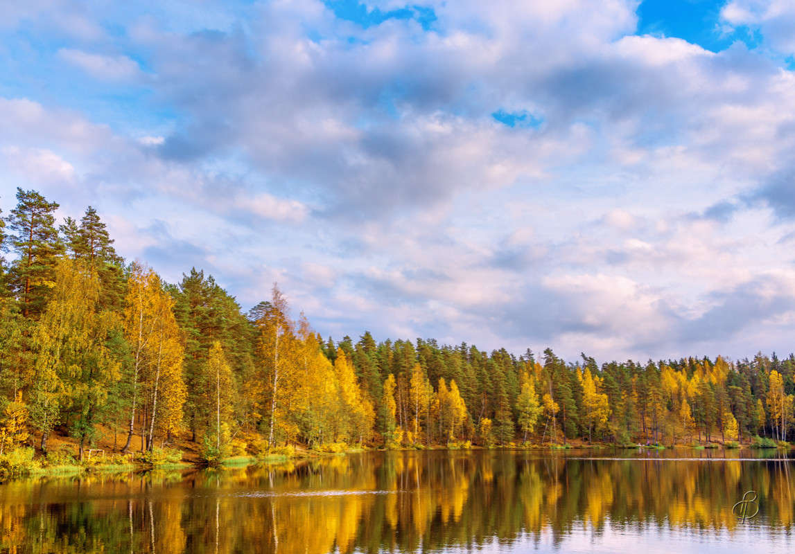 ����� �� ����� ����� 4 ����� Vitaly Konakov �� PhotoGeek.ru #������ ��� ������� #����� ��������