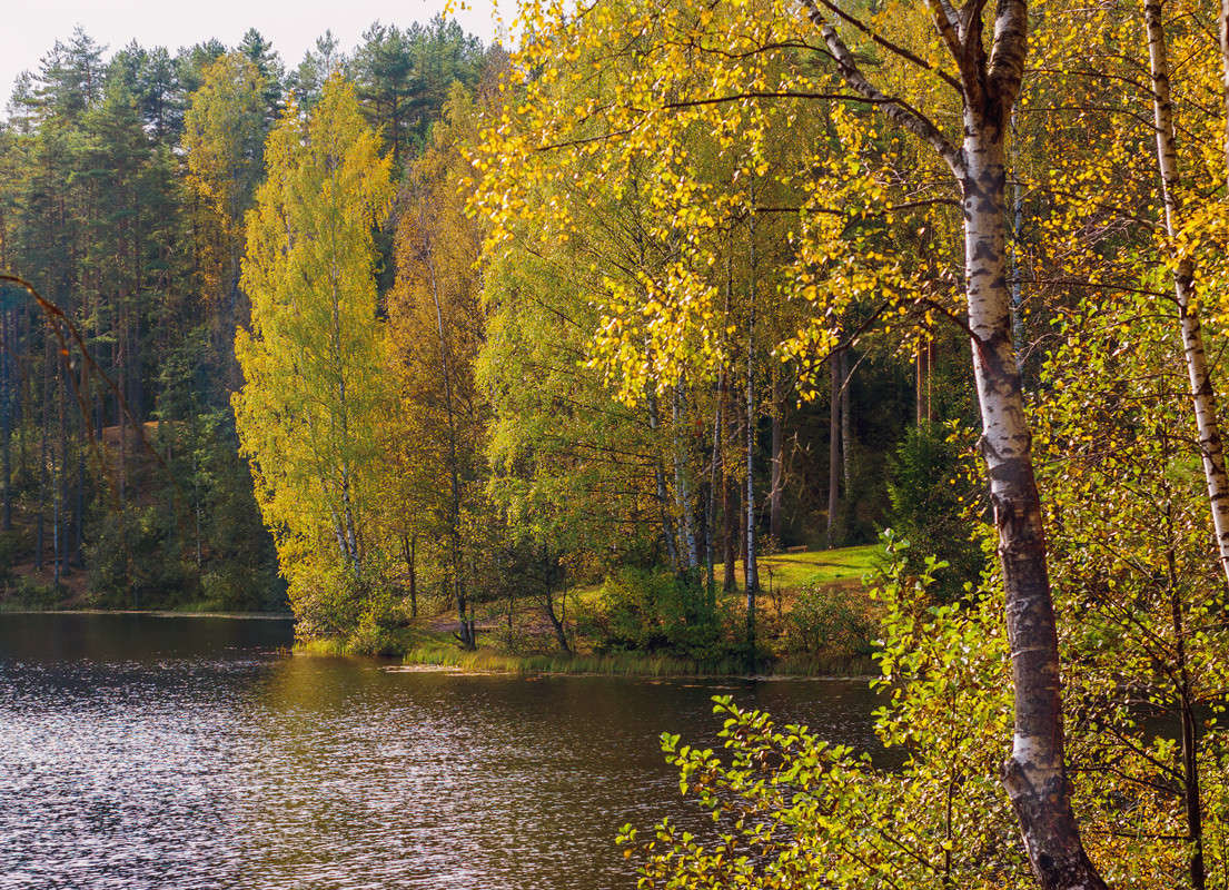 ����� �� ����� ����� 5 ����� Vitaly Konakov �� PhotoGeek.ru #������ ��� ������� #����� ��������