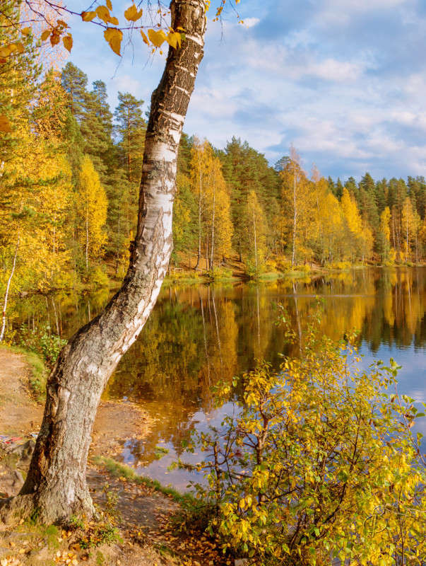 ����� �� ����� ����� 6 ����� Vitaly Konakov �� PhotoGeek.ru #������ ��� ������� #����� ��������