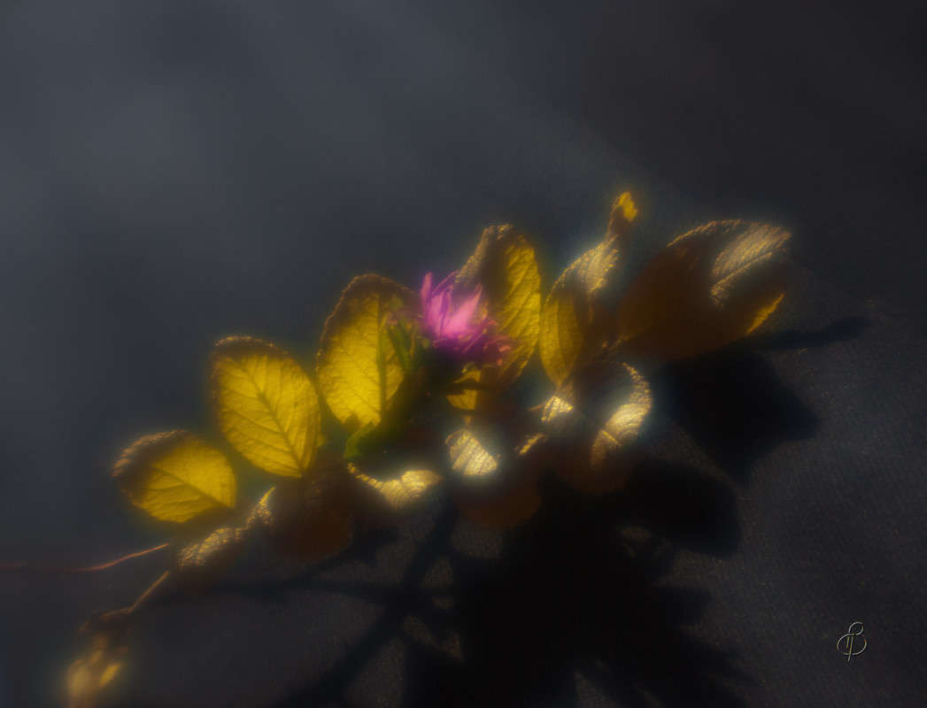 ������� ����� Vitaly Konakov �� PhotoGeek.ru #��������� #���������������