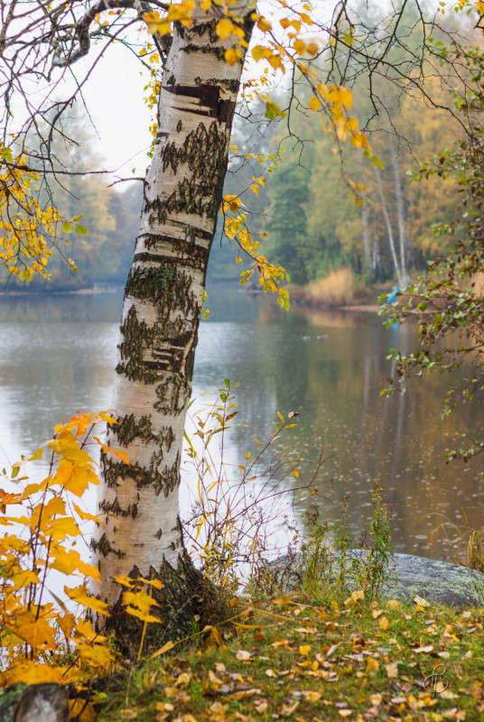 ����� � ������ ����� 3 ����� Vitaly Konakov �� PhotoGeek.ru #������ ��� ������� #����� ��������