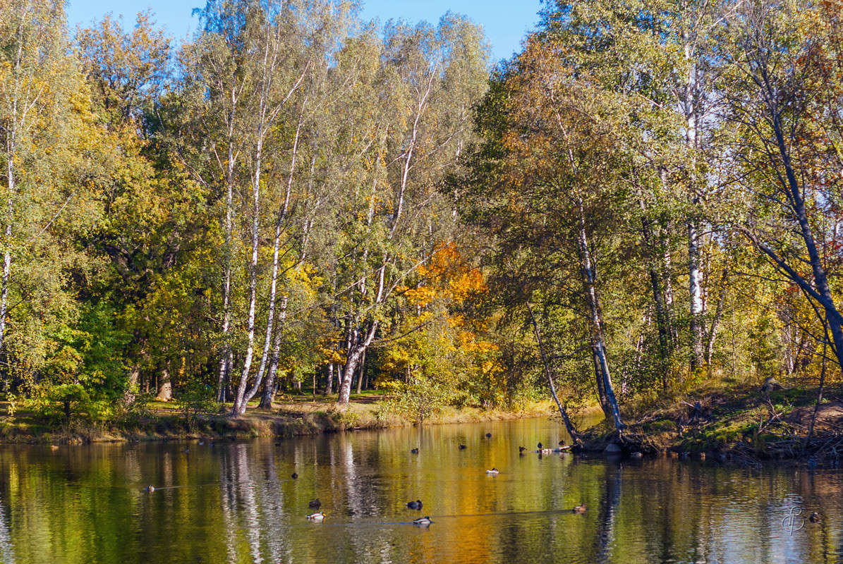 ����� � ������ ����� 2 ����� Vitaly Konakov �� PhotoGeek.ru #������ ��� ������� #����� ��������