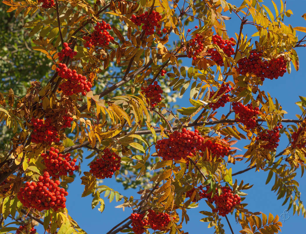 ������� �� ���� ����� Vitaly Konakov �� PhotoGeek.ru #������ ��� ������� #����� ��������