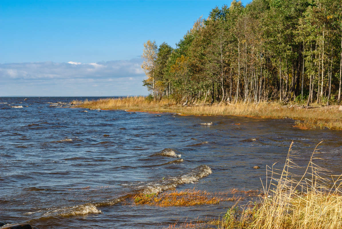 ����� ����� 2 ����� Vitaly Konakov �� PhotoGeek.ru #������ ��� ������� #����� ��������