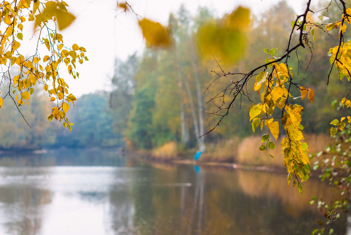 ����� � ������ ����� 4 ����� Vitaly Konakov �� PhotoGeek.ru #������ ��� ������� #����� ��������