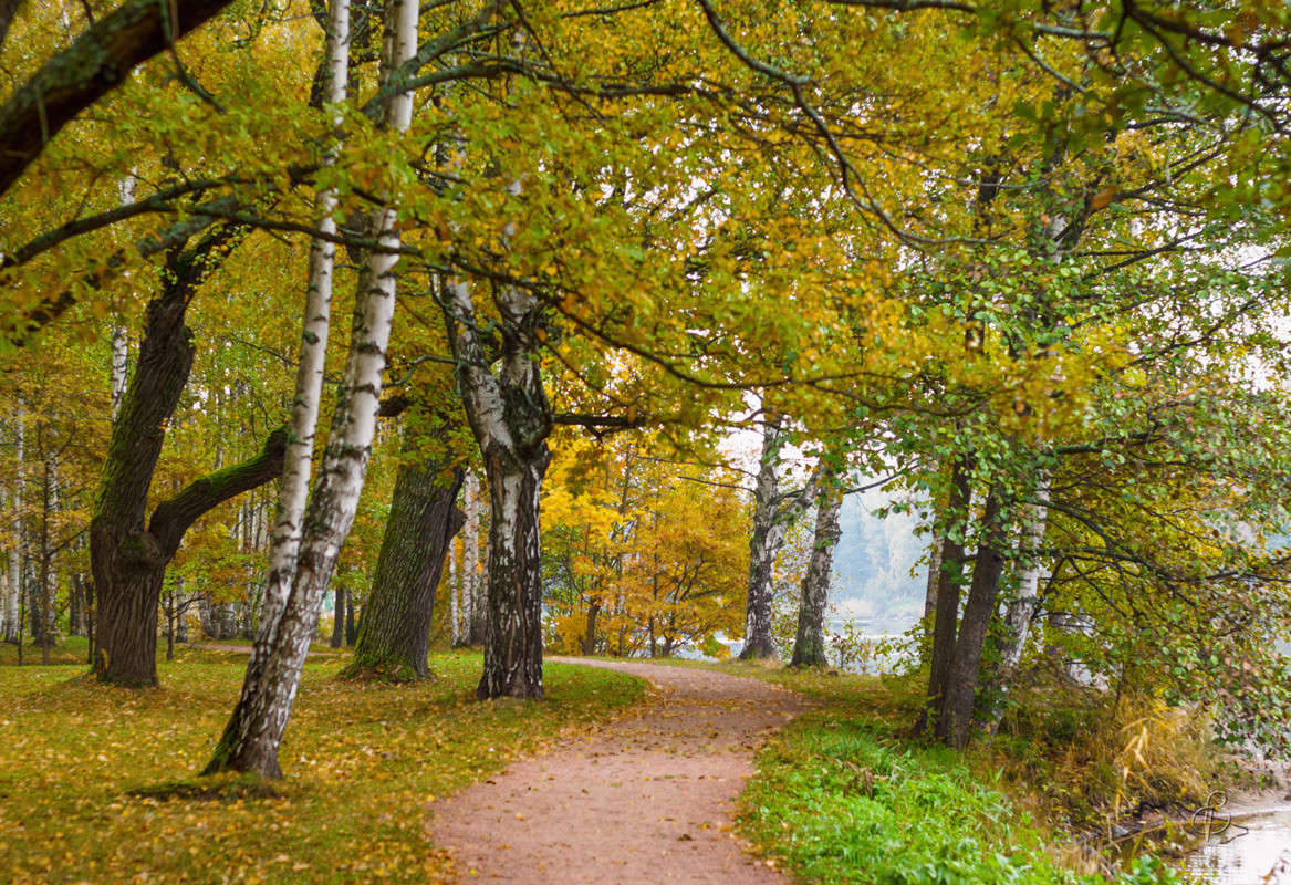 ����� � ������ ����� 5 ����� Vitaly Konakov �� PhotoGeek.ru #������ ��� ������� #����� ��������