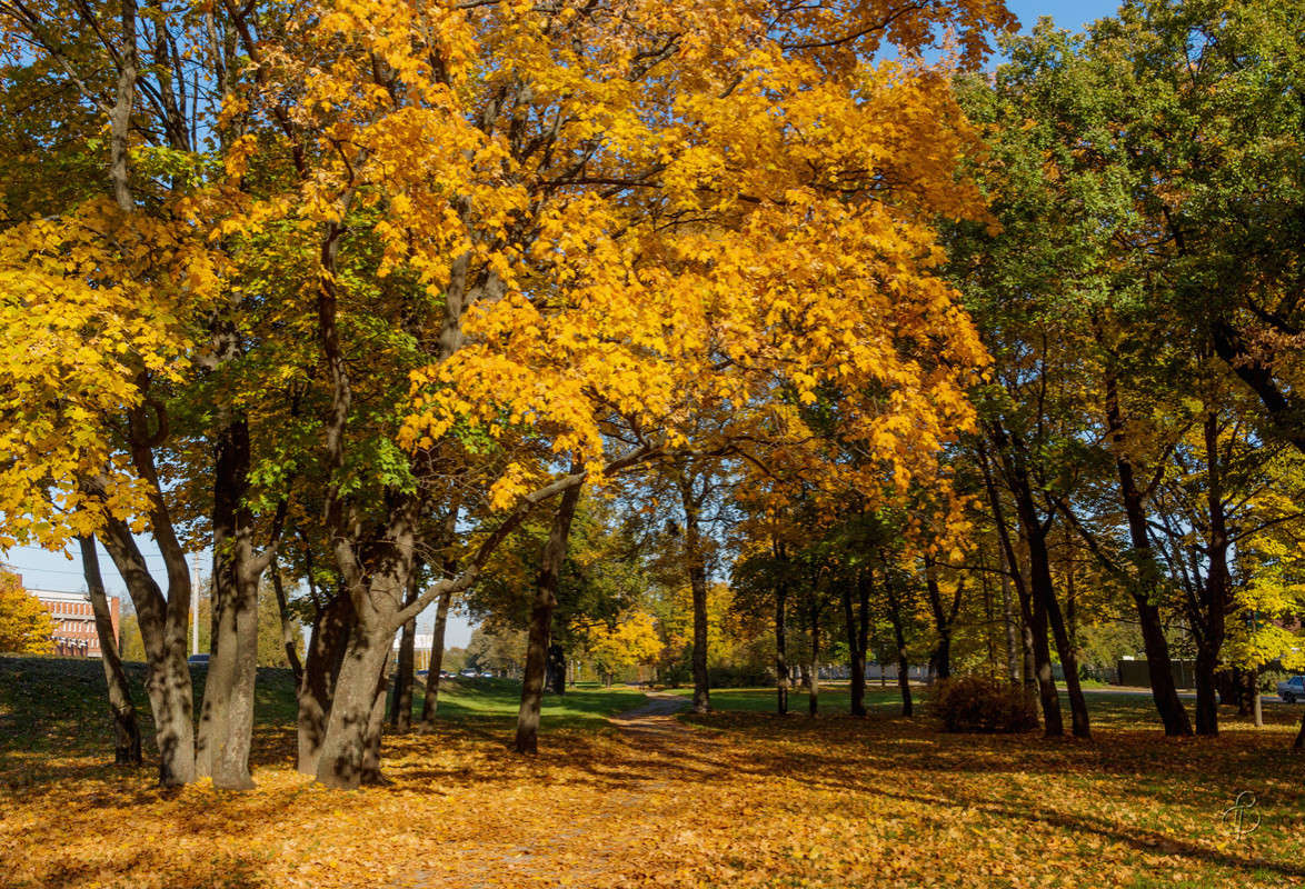 ����� � ��������� 5 ����� Vitaly Konakov �� PhotoGeek.ru #������ ��� ������� #����� ��������