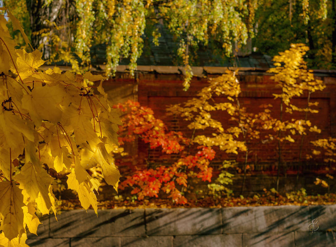 ����� ��������� ����� Vitaly Konakov �� PhotoGeek.ru #������ ��� ������� #����� ��������