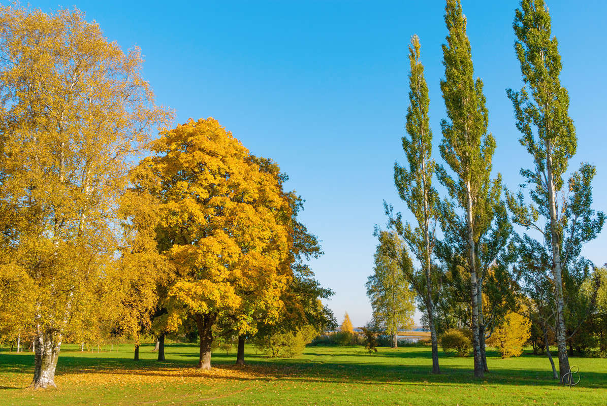 ����� �� ������ ������� ����� Vitaly Konakov �� PhotoGeek.ru #������ ��� ������� #����� ��������