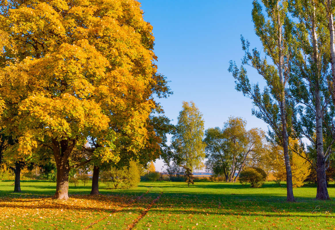 ����� �� ������ ������� 2 ����� Vitaly Konakov �� PhotoGeek.ru #������ ��� ������� #����� ��������