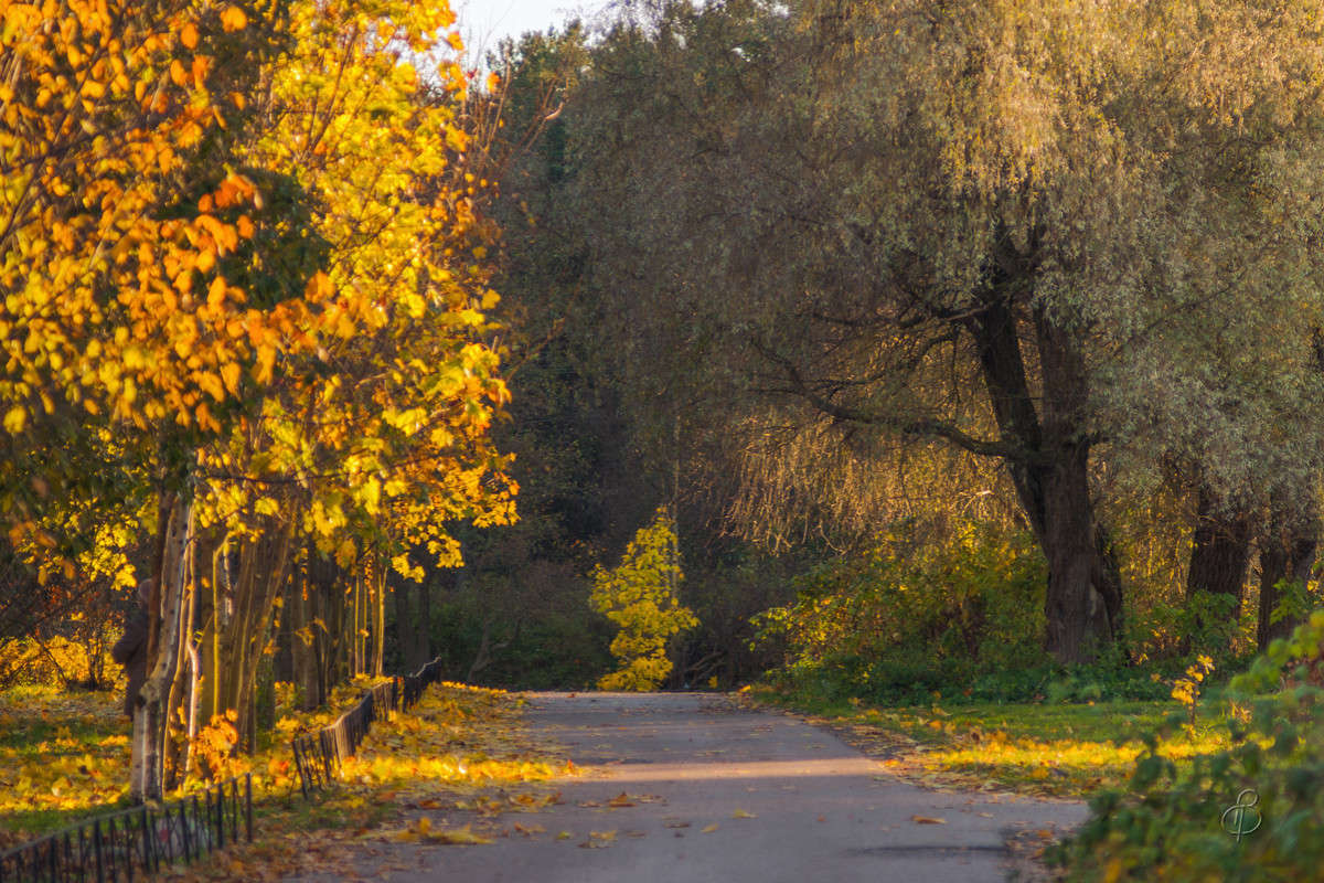 �������� ���� ����� Vitaly Konakov �� PhotoGeek.ru #������ ��� ������� #����� ��������