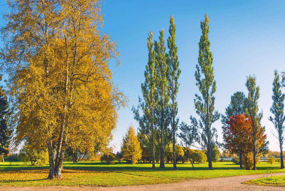 ����� �� ������ ������� 4 ����� Vitaly Konakov �� PhotoGeek.ru #������ ��� ������� #����� ��������