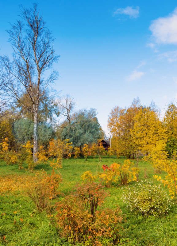 ����� ��������� 2 ����� Vitaly Konakov �� PhotoGeek.ru #������ ��� ������� #����� ��������