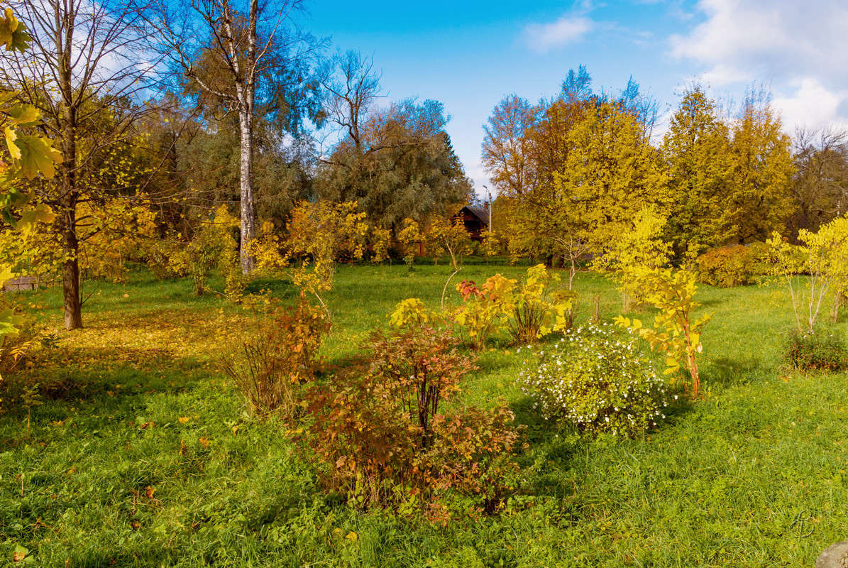 ����� ��������� 3 ����� Vitaly Konakov �� PhotoGeek.ru #������ ��� ������� #����� ��������