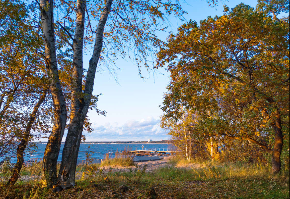 �������� ���� 2 ����� Vitaly Konakov �� PhotoGeek.ru #������ ��� ������� #����� ��������