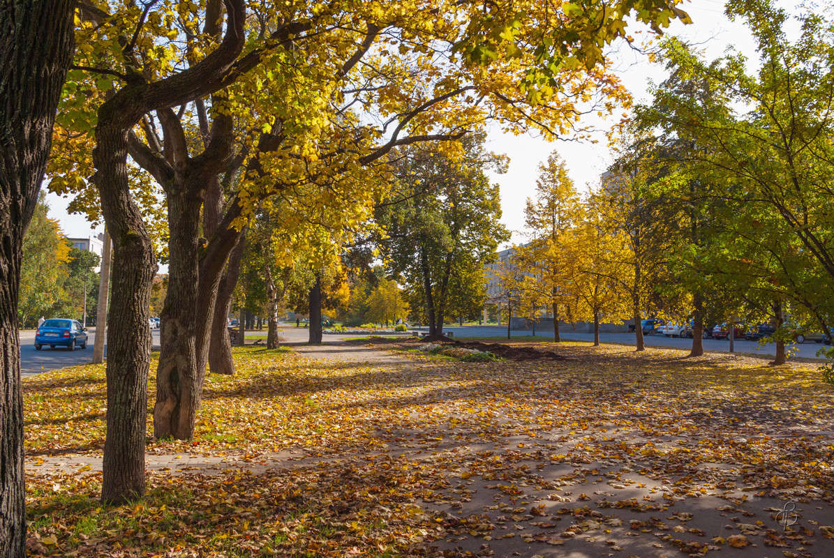 ����� � ������ ����� Vitaly Konakov �� PhotoGeek.ru #������ ��� ������� #����� ��������