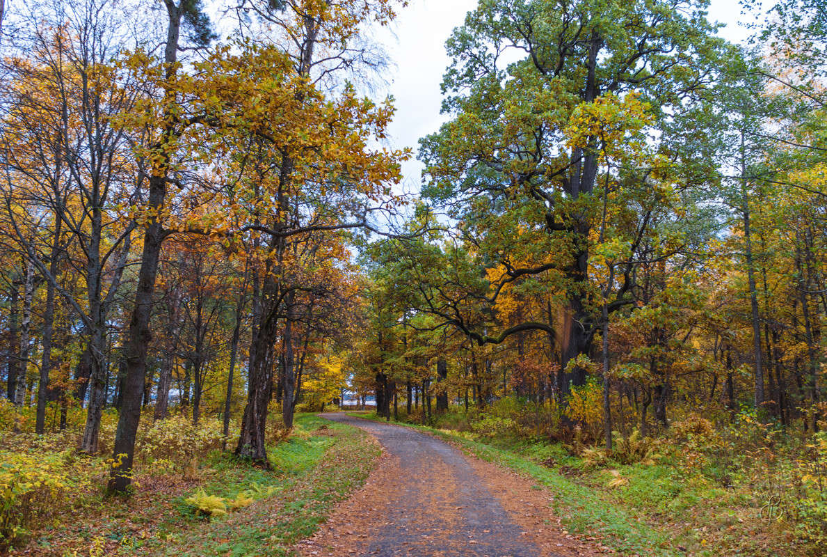 ����� � ��������� ���� ����� Vitaly Konakov �� PhotoGeek.ru #������ ��� ������� #����� ��������