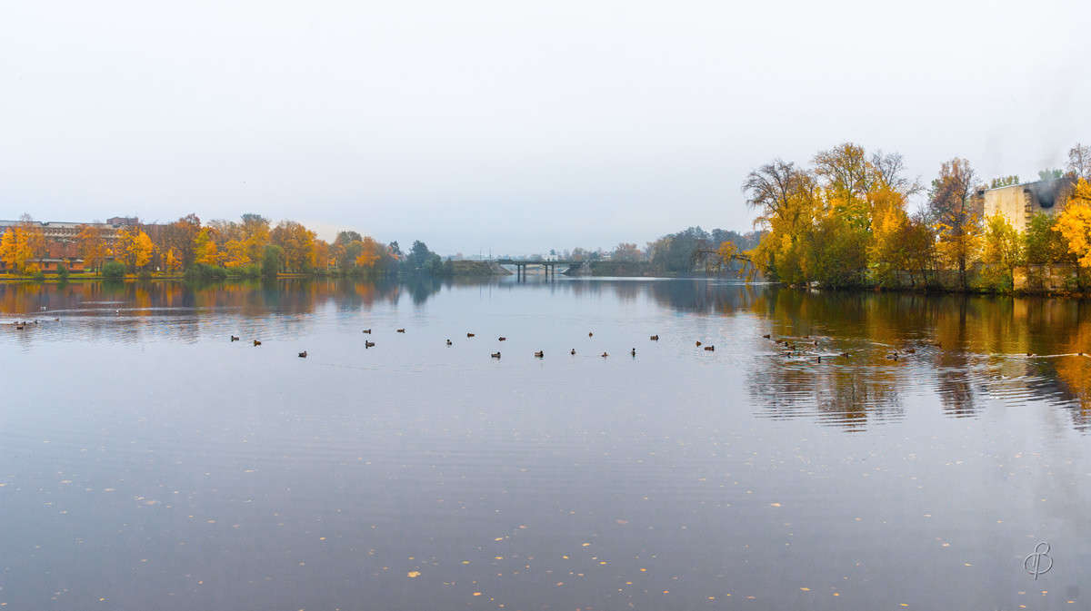 �������� ��� �� ������� ����� Vitaly Konakov �� PhotoGeek.ru #������ ��� ������� #����� ��������